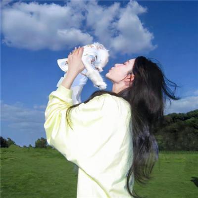 精灵宝可梦：裂空的访问者代欧奇希斯国语